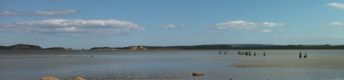 Comme un ruisseau de cailloux